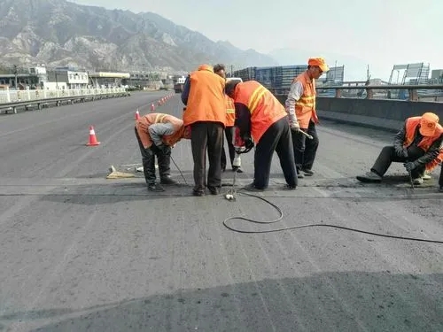 陇川道路桥梁病害治理